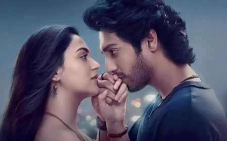 Saiyaara Box Office Collection Day Wise Worldwide Collection & Budget