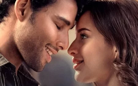 Dhadak 2 Box Office Collection Day 9 Worldwide Collection