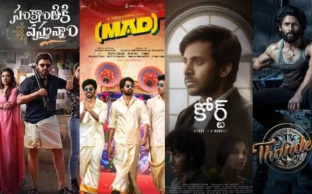 Tollywood Box Office Collection Telugu Movies & Verdicts 2025