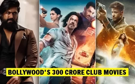 Bollywood 300 Crore Club Movies List (Updated 2025)