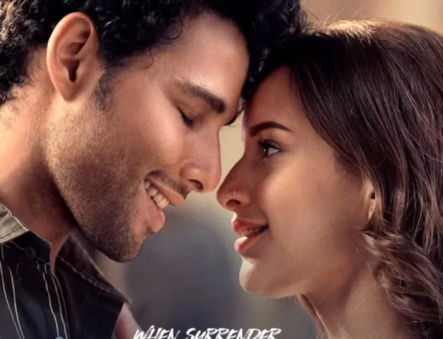 Dhadak 2 Box Office Collection Day 9 Worldwide Collection